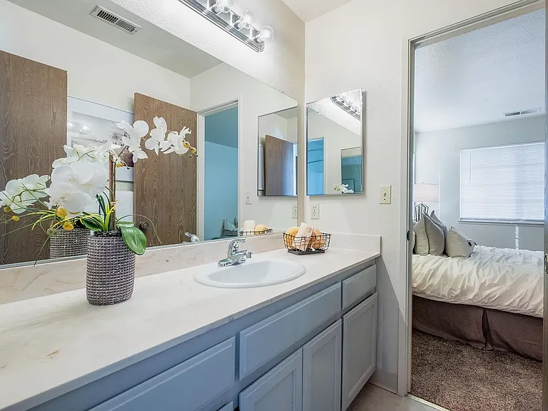 Primary Vanity
