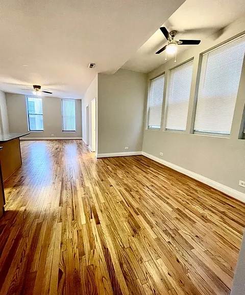 1459 N Milwaukee Ave #3A — Photo 9