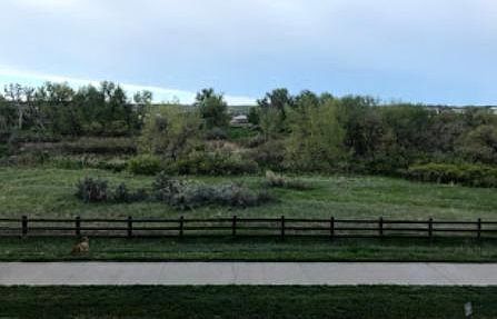 view from porch