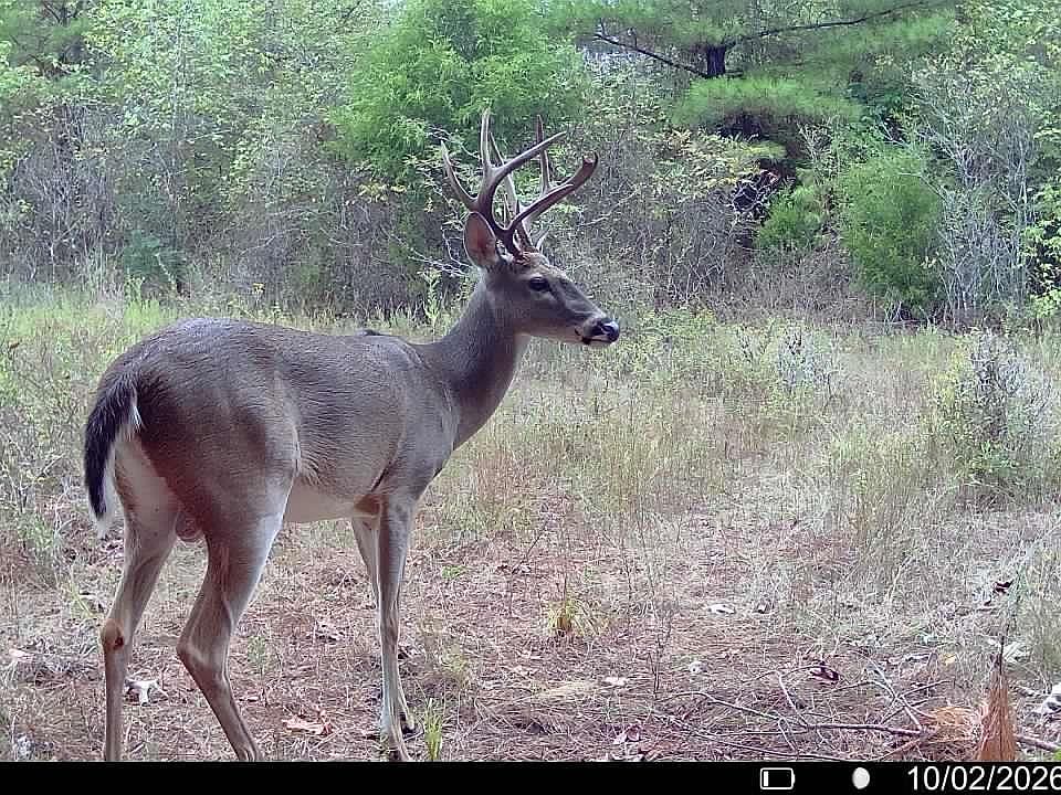 1st image of 0 County Road 1206