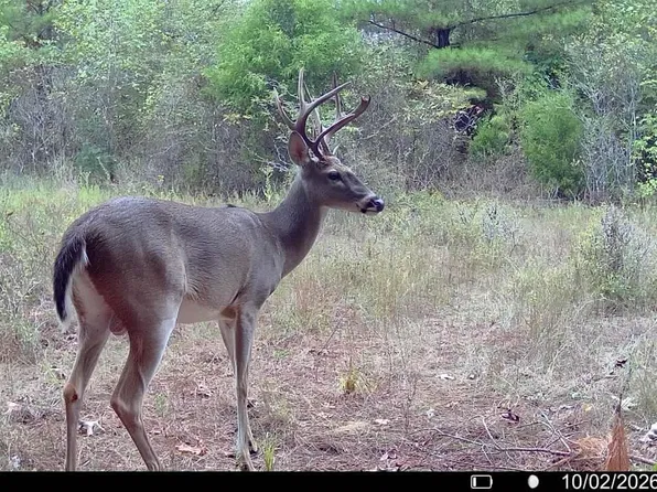 0 County Road 1206, Rusk, TX 75785