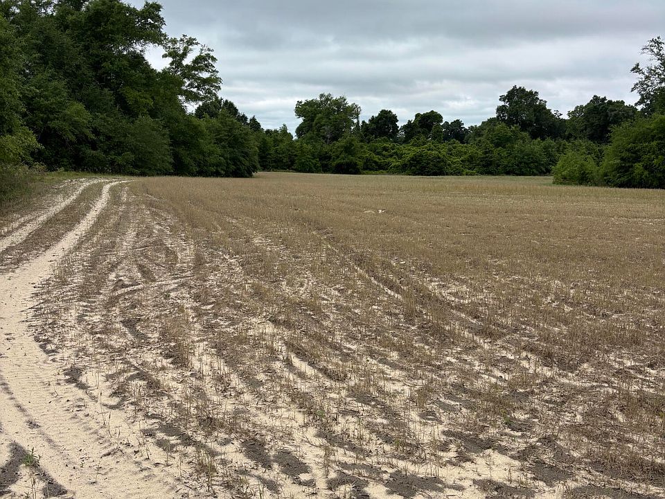 1st image of Blue Springs Rd