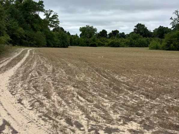 Blue Springs Rd, Greenwood, FL 32443