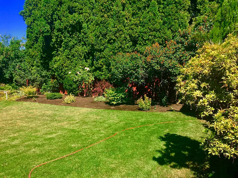Peaceful giant backyard, totally private and beautiful!