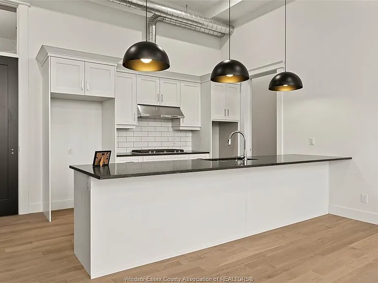 247 Brock St #303 — Photo 10