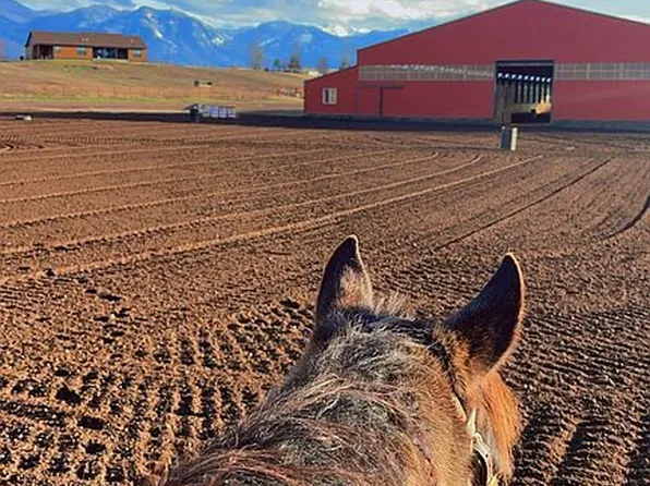 34761 Sod Farm Rd, Arlee, MT 59821