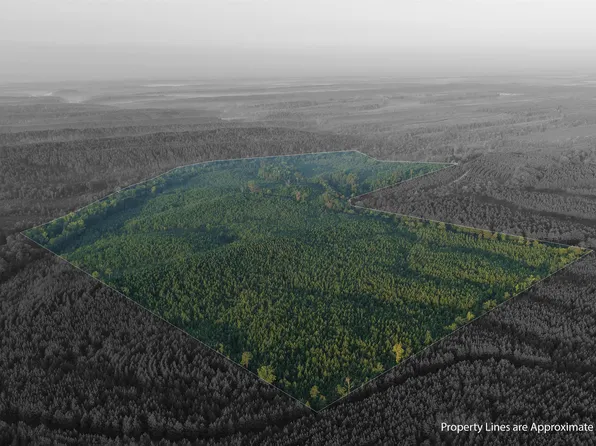 Polk Rd #639, Vandervoort, AR 71972