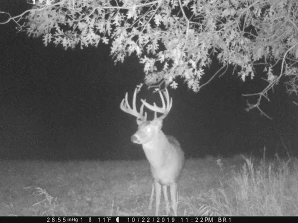 965 Clam Falls Dr, Frederic, WI 54837