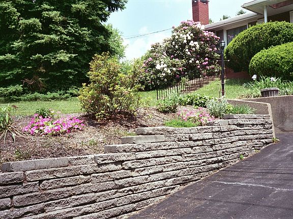 Scenic Garden