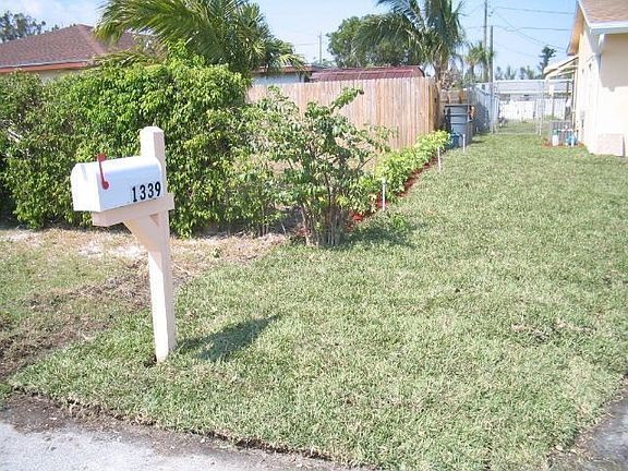 Hedges on side of house