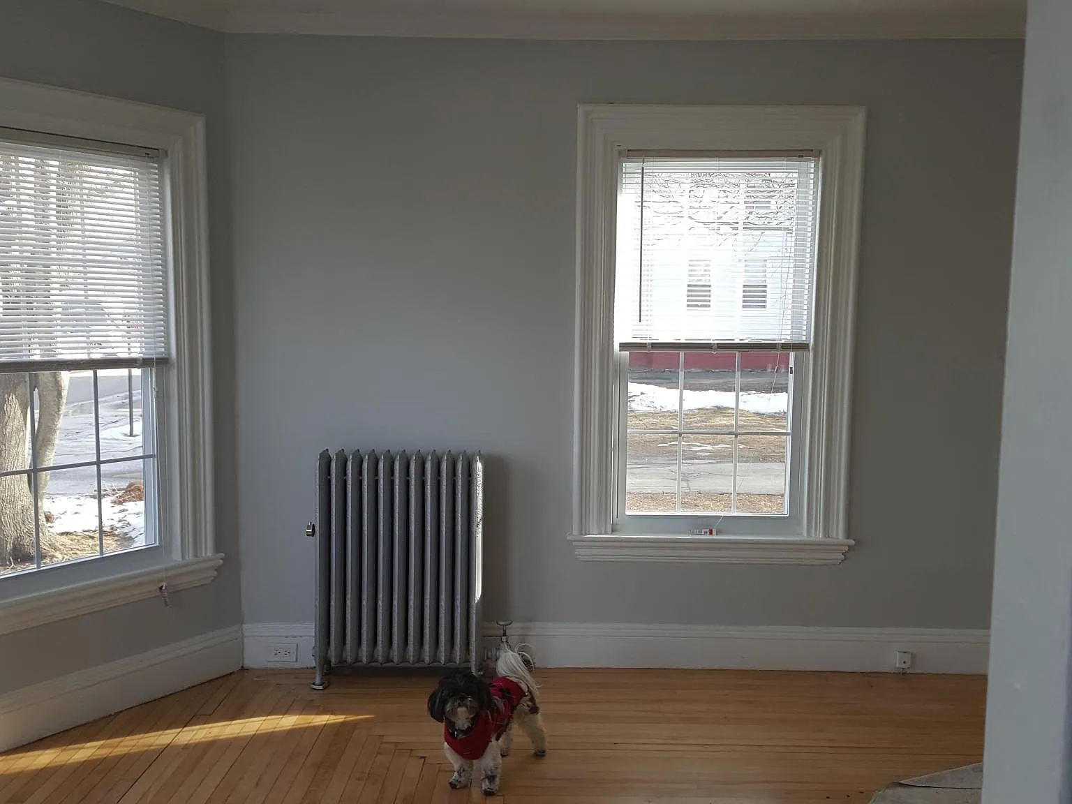2 bed, $2,700 — Photo 3