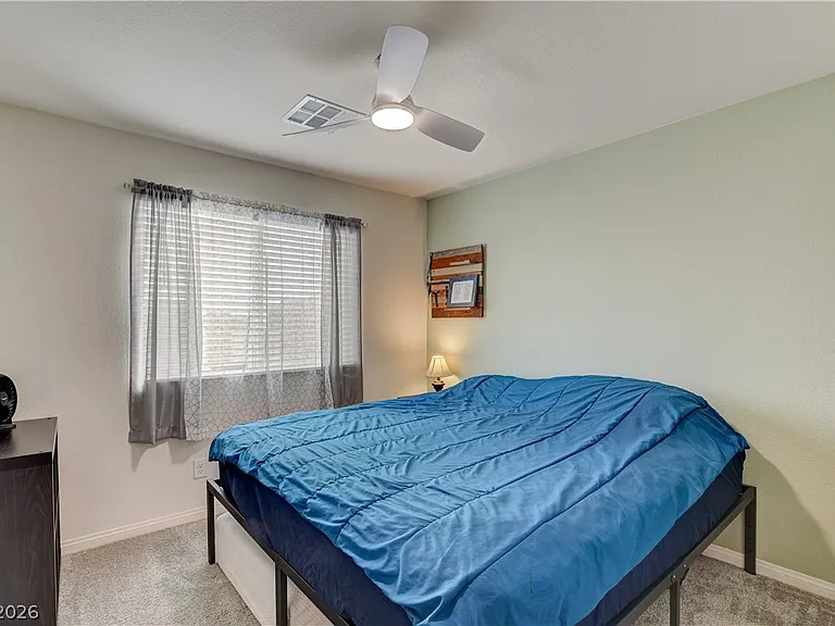 3715 Brilliant Sunset St — Photo 29