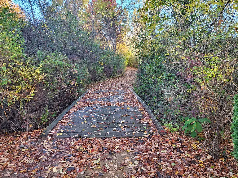 11737 21 Mile Rd — Photo 27