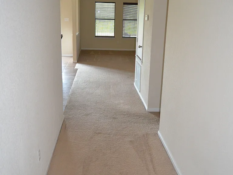 507 Cattail Cir — Photo 7