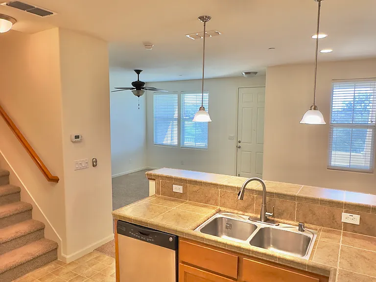 209 Blossom Rock Ln — Photo 8