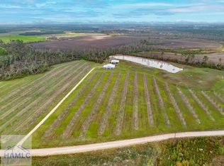 60 Fred Hutchinson Rd, Hazlehurst, GA 31539