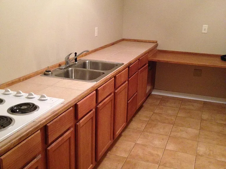 341 Plum Hollow Blvd — Photo 27