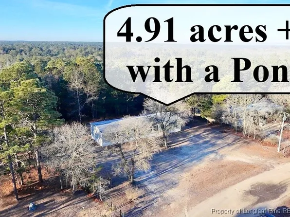 196 Autumn Dr, Vass, NC 28394