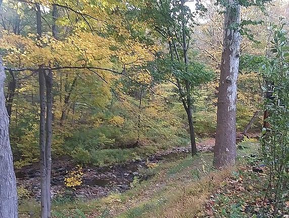 5th image of 336 Route 308