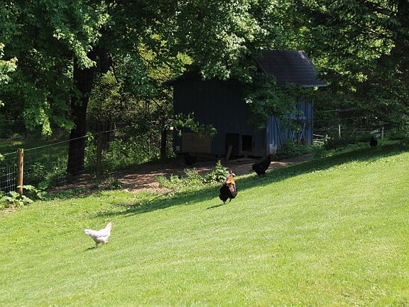 5th image of 3317 Township Road 1079