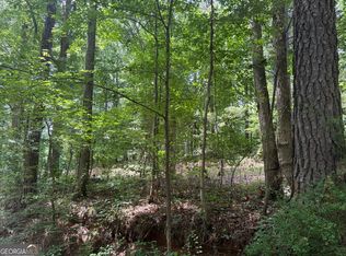 0 Turner Rd, Hampton, GA 30228