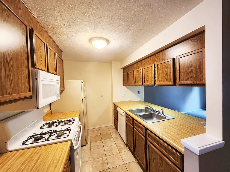 3863 Lake Run Blvd — Photo 3