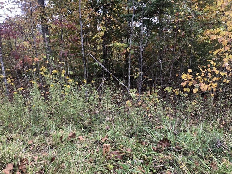 2nd image of 8 Buck Creek Cir