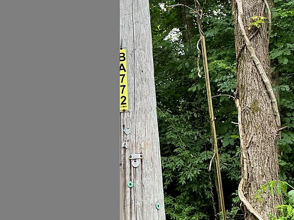 3rd image of 4022 Honeysuckle Dr