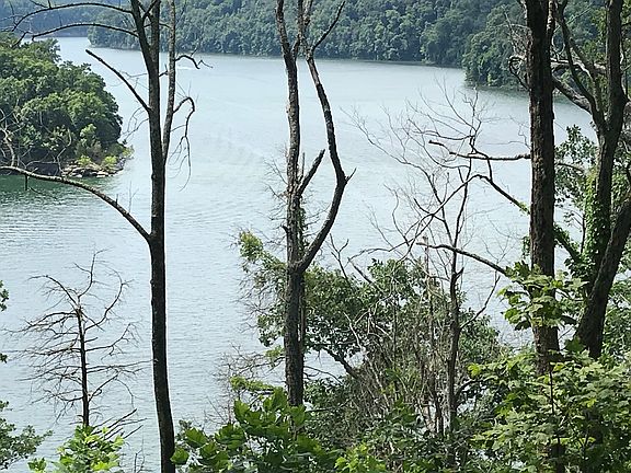 Beautiful Lake Cumberland!