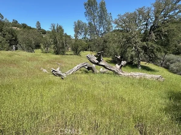 74620 Copperhead Rd, Bradley, CA 93426