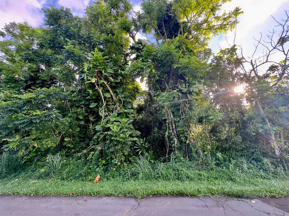 Puhala Dr Lot 24, Pahoa, HI 96778