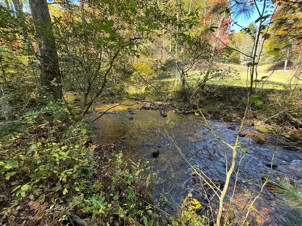 210 Big Creek Trl, Cherry Log, GA 30522