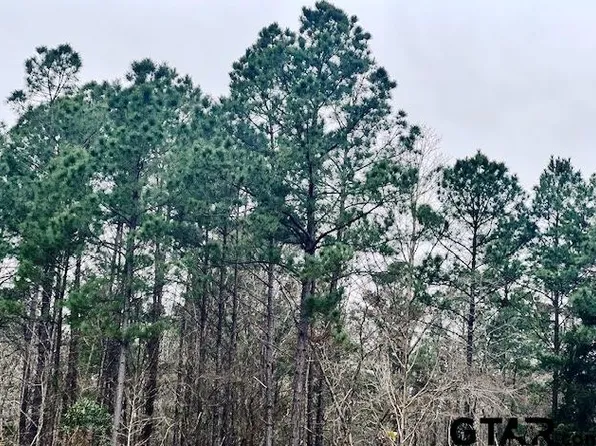 Highway 79 Tract #1, New Summerfield, TX 75780