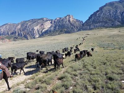 2745 Beaver Creek Rd, Shell, WY, 82441