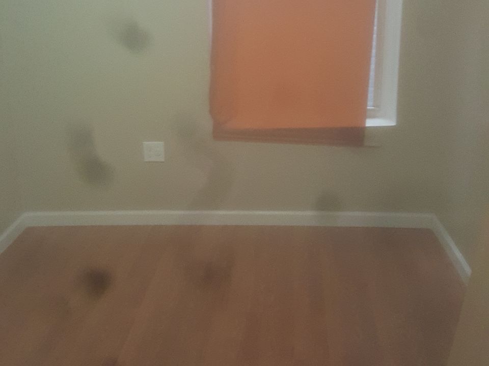 2nd image of 1072 Findlay Ave APT 3