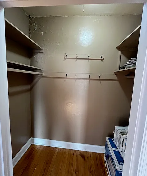 Large living room closet