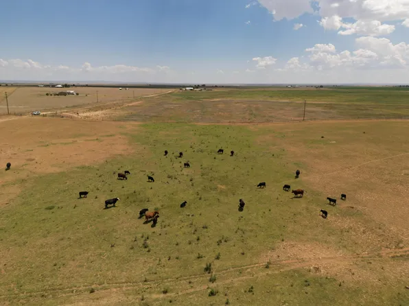 0 Ness Farms Rd, Estancia, NM 87016