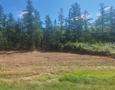 Us Highway 77, Minong, WI, 54859