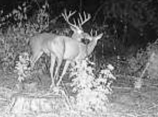 0 E 236th Hwy #13, Lonoke, AR 72086