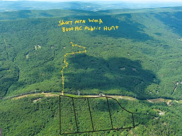 75 Linwood Dr, Delray, WV 26714