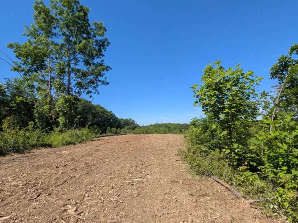 0 Mills Rd, South Bloomingville, OH 43152