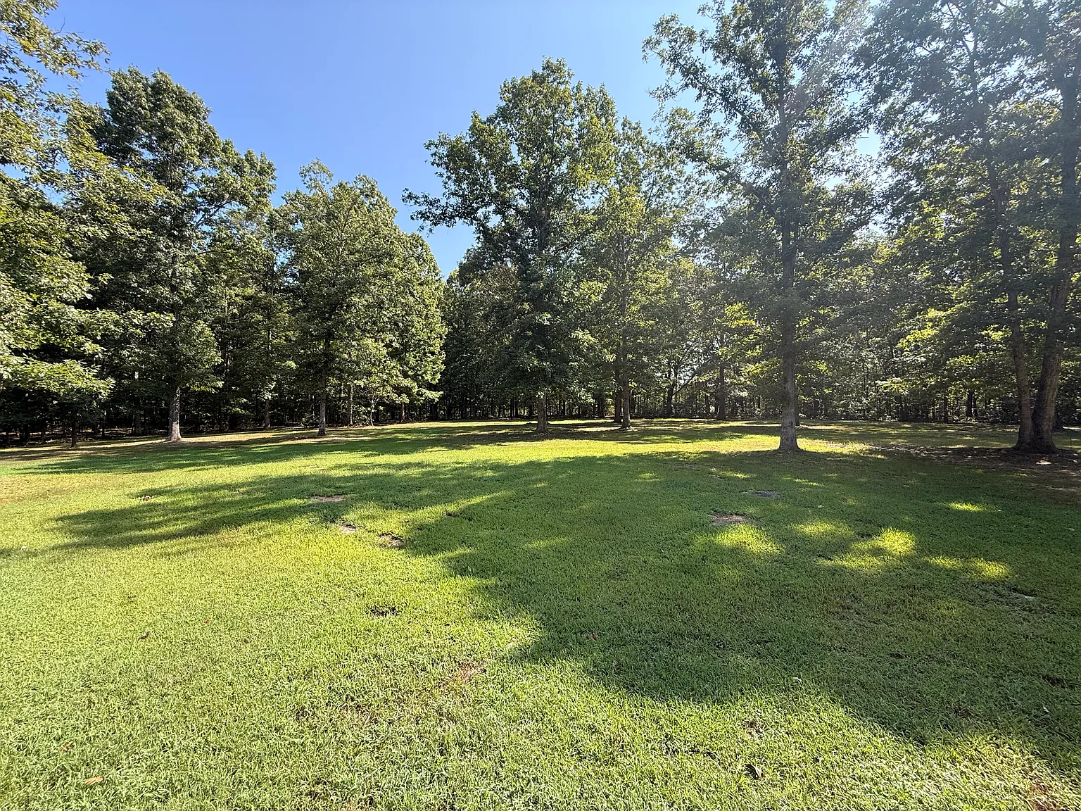 4 bed, 2000 sqft, $2,000 — Photo 2