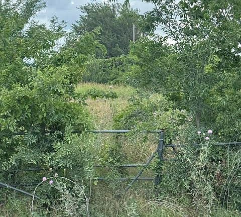 5th image of 0 County Road 4219