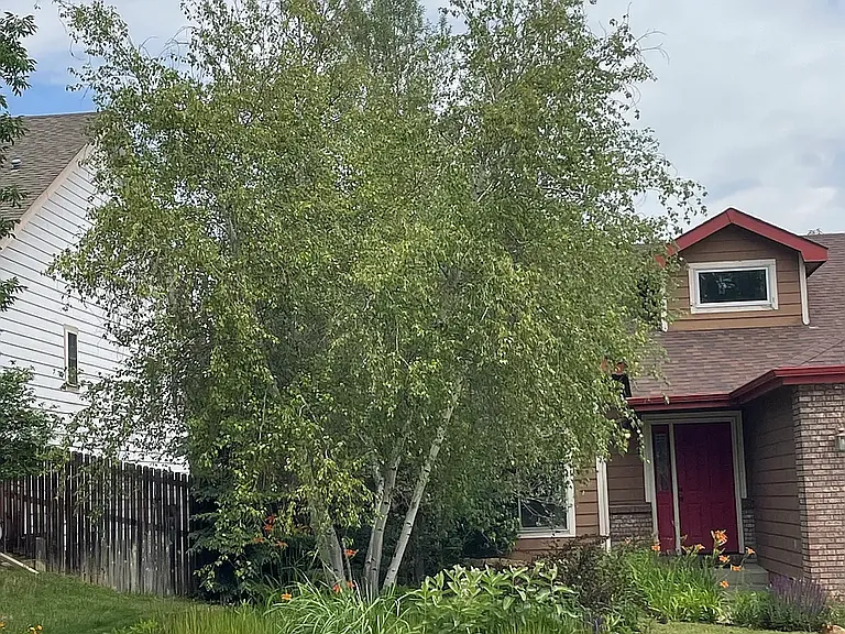 318 Dunne Dr — Photo 9