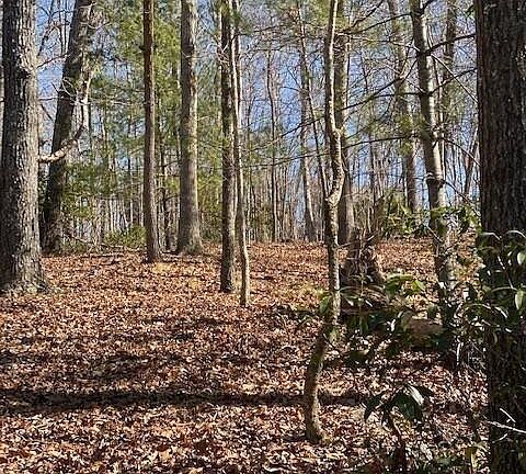 4th image of 0 High Meadows Dr