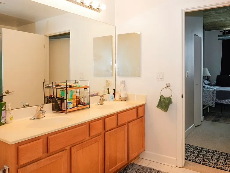 1305 S Michigan Ave #1308 — Photo 8