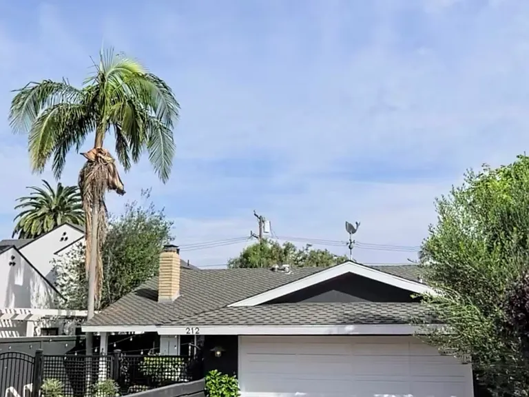 212 Magnolia St — Photo 1