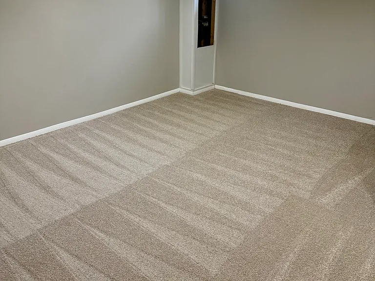 Finished Basement