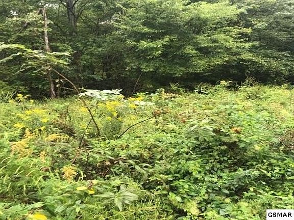 4th image of 7 Bench Mountain Way Lot 7