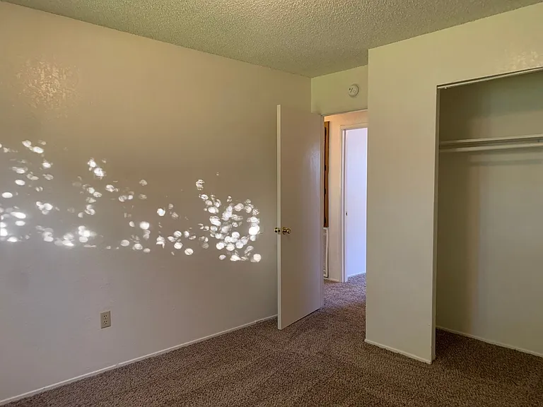 3469 Alta Mesa Dr — Photo 35